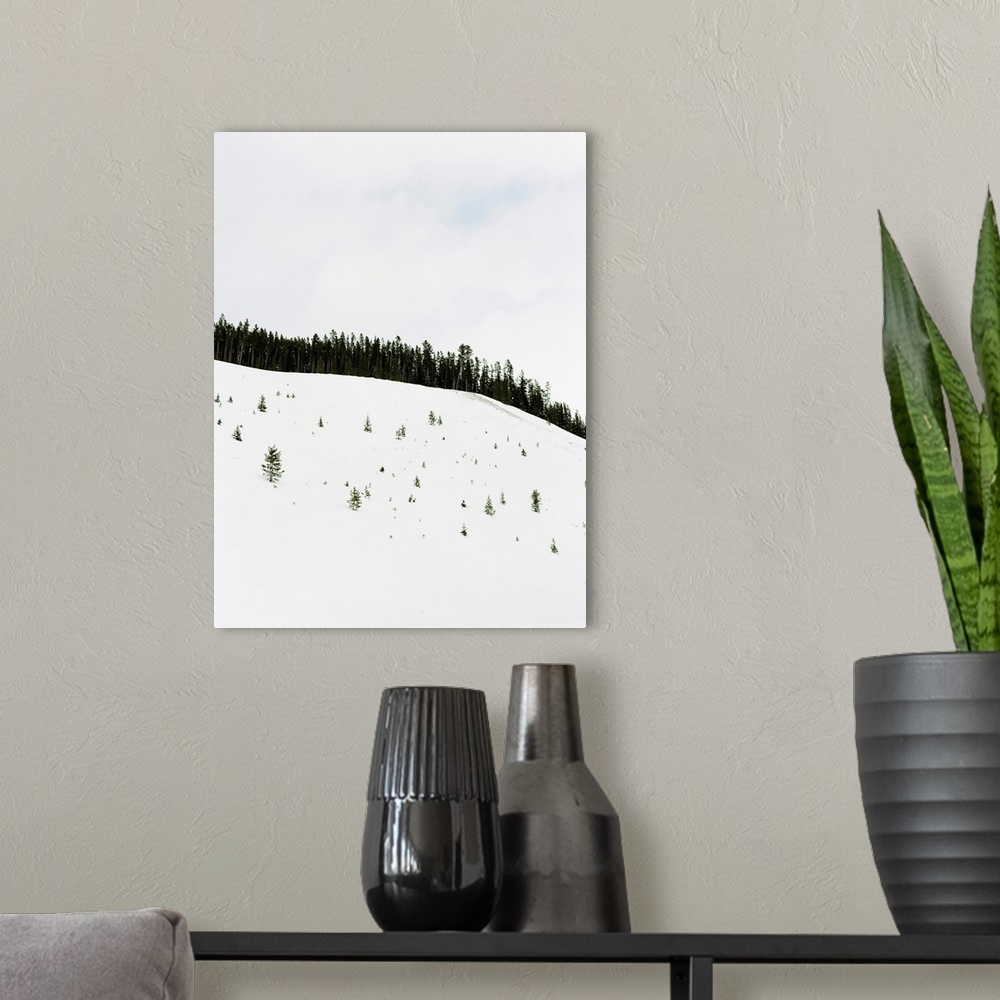 A modern room featuring Photograph of deep snow with only the tips of small trees showing through, Banff, Canada