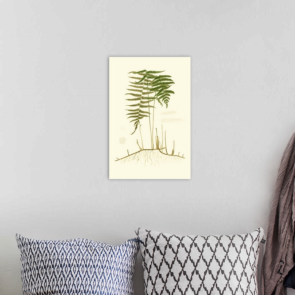 A bohemian room featuring Spring Ferns III