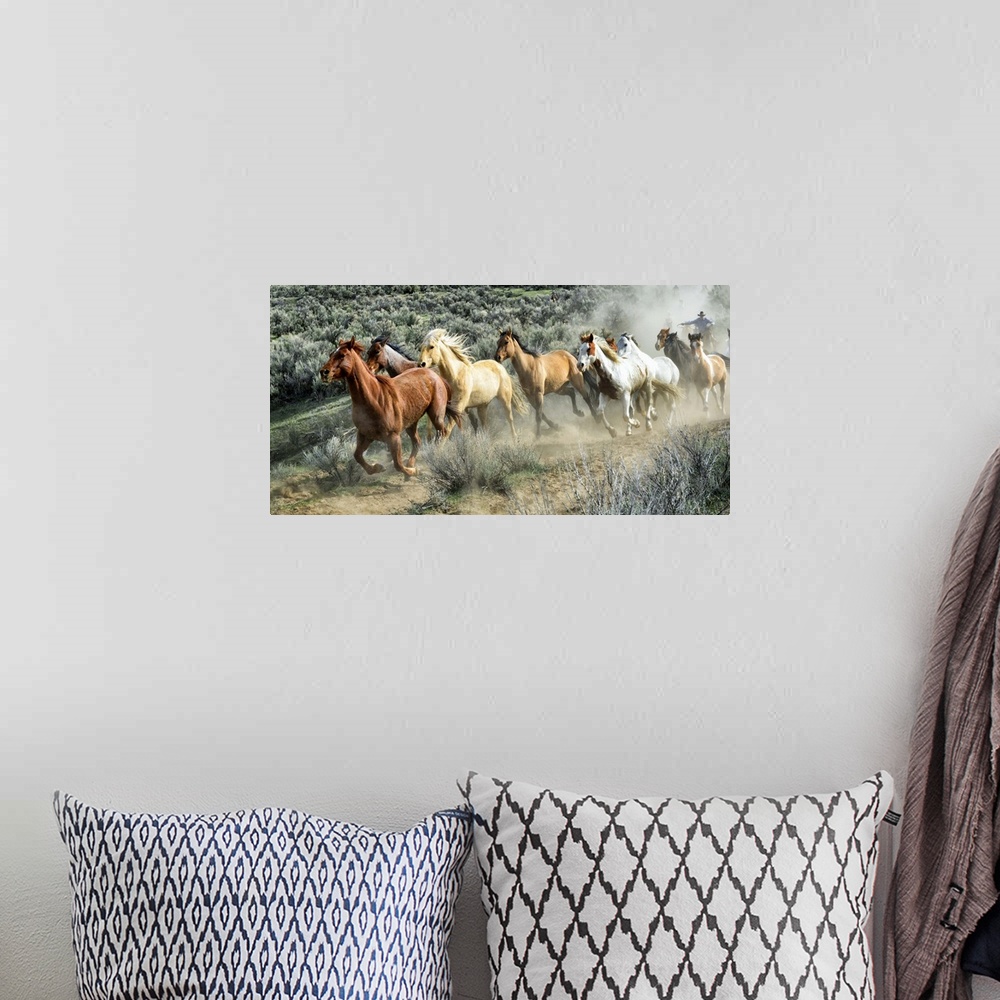 A bohemian room featuring Fine art photo of a herd of wild horses galloping across the prairie.
