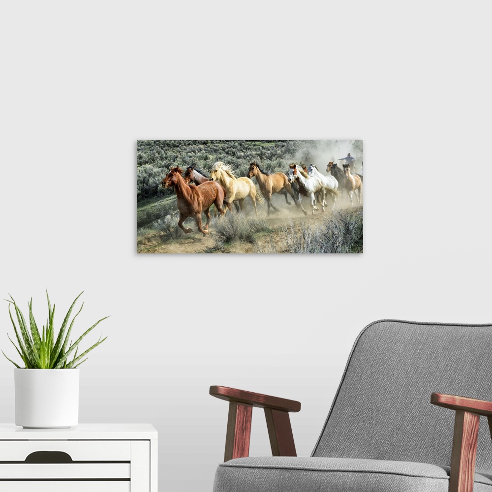 A modern room featuring Fine art photo of a herd of wild horses galloping across the prairie.