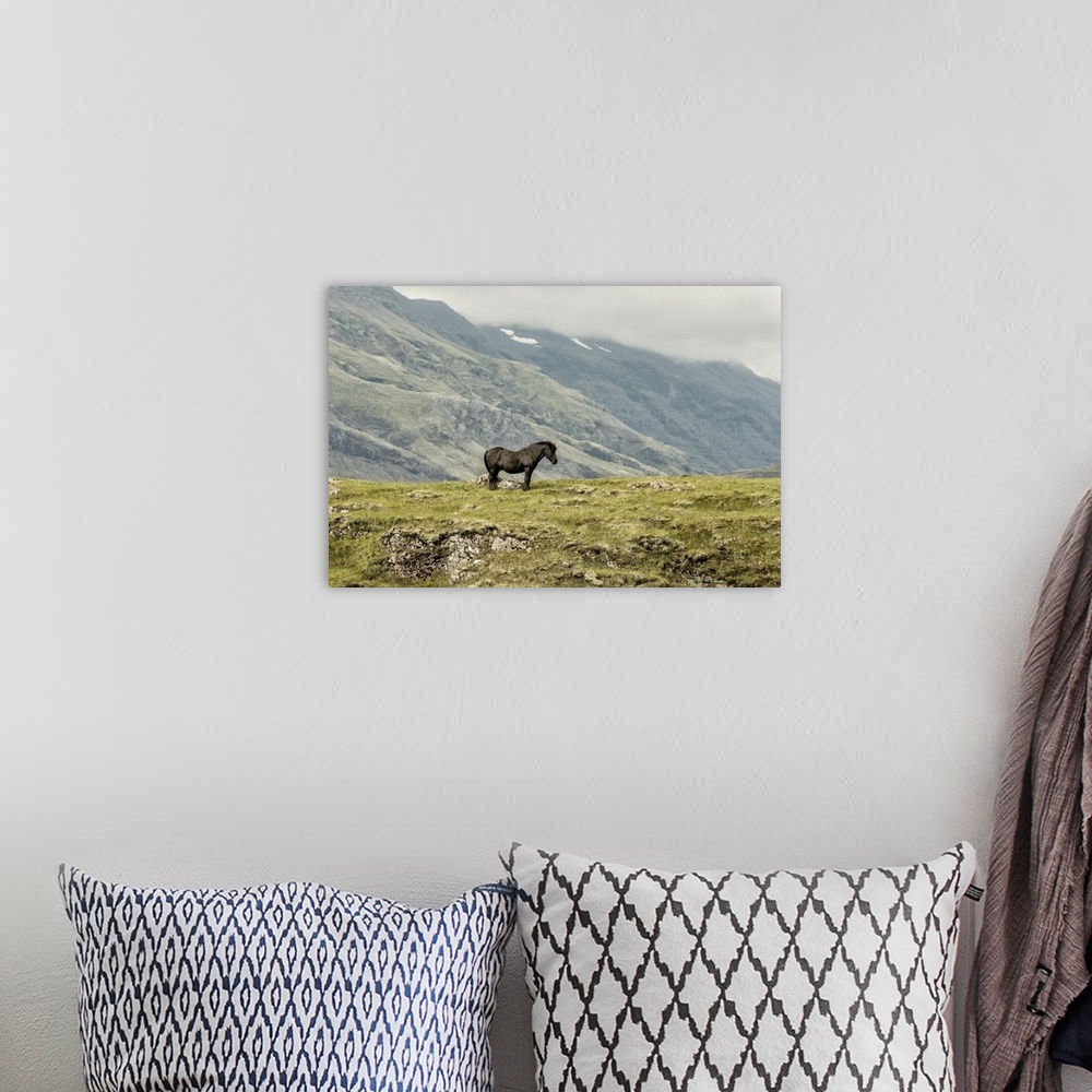 A bohemian room featuring Photograph of a lone horse in the field with fog rolling over mountains in the background.