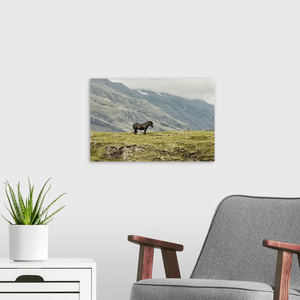 A modern room featuring Photograph of a lone horse in the field with fog rolling over mountains in the background.