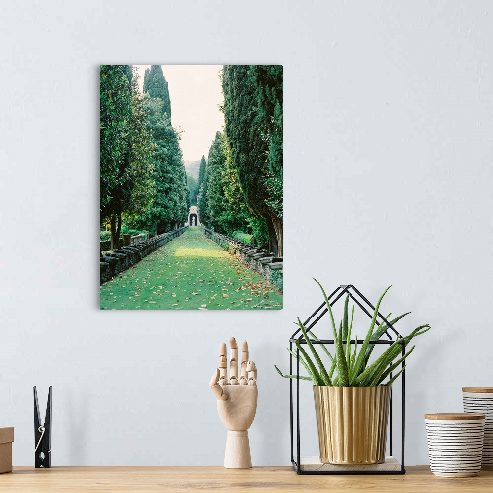 A bohemian room featuring Photograph taken between an avenue of tall trees with a statue at the far end, Lake Como, Italy.