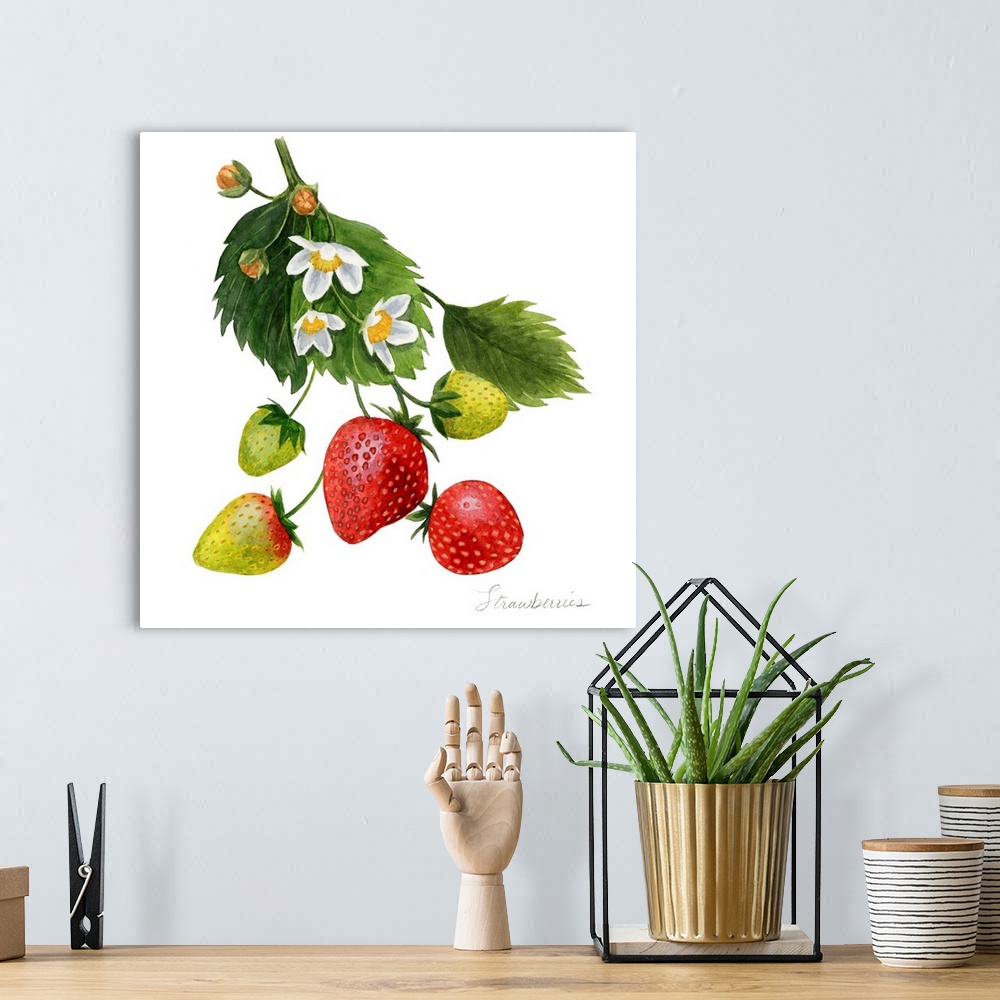 A bohemian room featuring Strawberry Study I