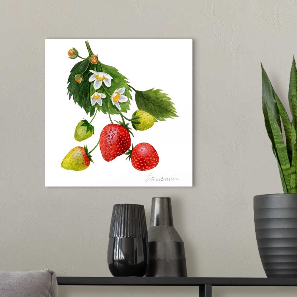 A modern room featuring Strawberry Study I