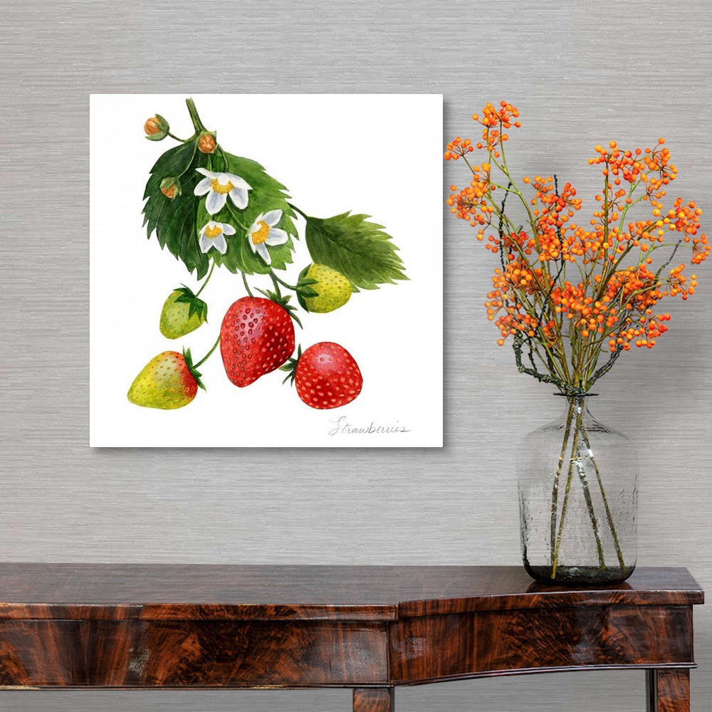 A traditional room featuring Strawberry Study I