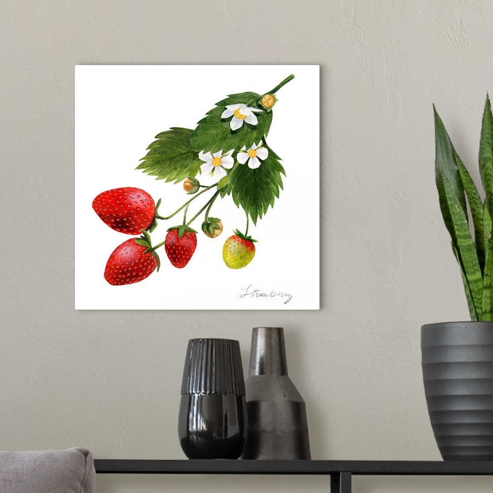 A modern room featuring Strawberry Study II