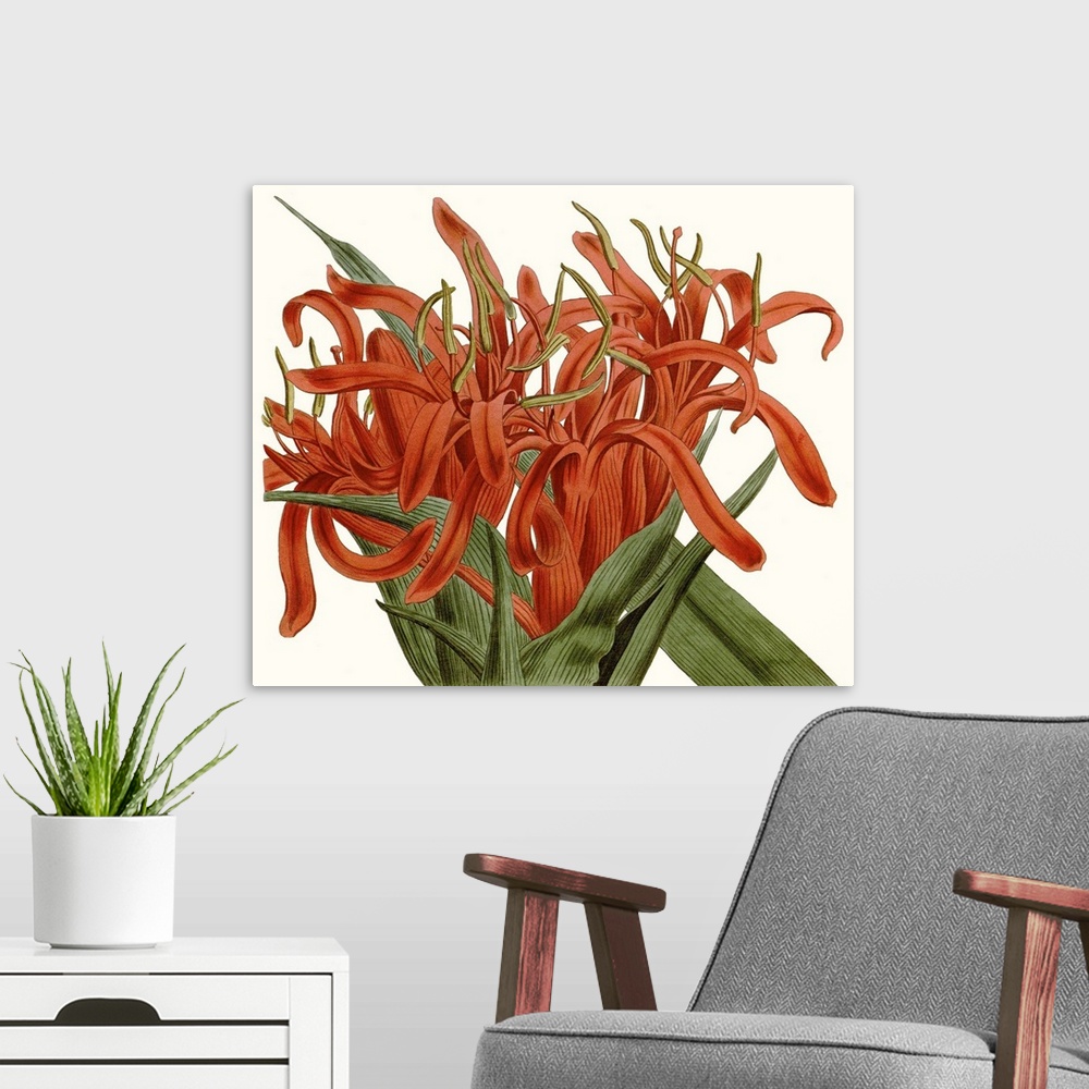 A modern room featuring Striking Coral Botanicals I