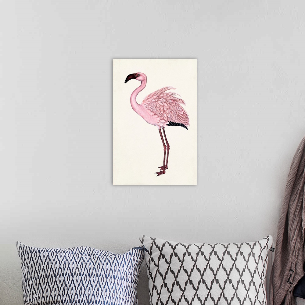 A bohemian room featuring Striking Flamingo II