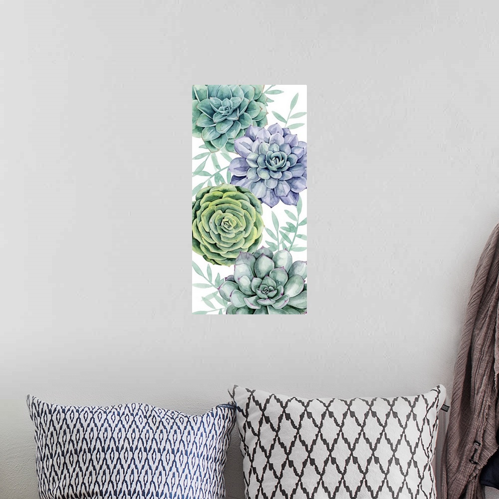 A bohemian room featuring Succulent Swatch Collection B