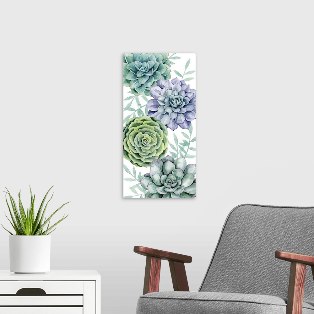 A modern room featuring Succulent Swatch Collection B