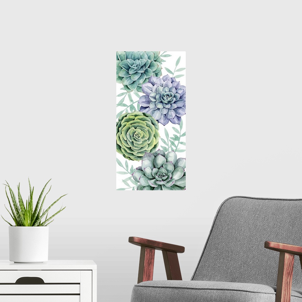 A modern room featuring Succulent Swatch Collection B