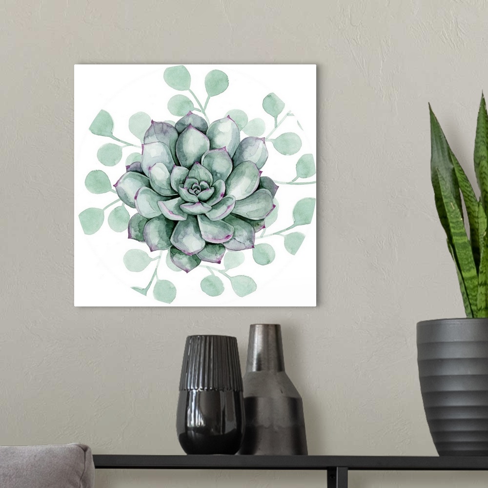 A modern room featuring Succulent Swatch Collection C