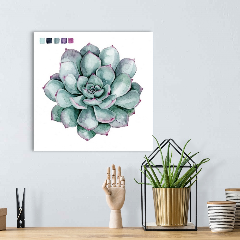 A bohemian room featuring Artwork of a succulent plant with color swatches in the corner.