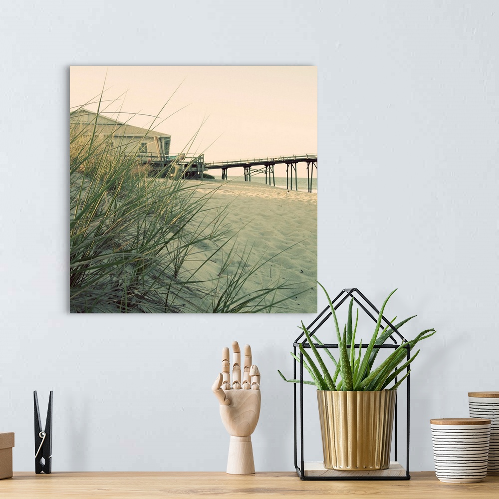 A bohemian room featuring Big square wall picture of grasses on a dune overlooking the beach, in the background is a buildi...