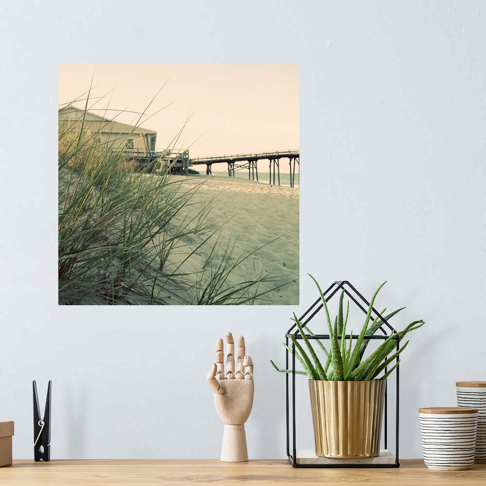 A bohemian room featuring Big square wall picture of grasses on a dune overlooking the beach, in the background is a buildi...