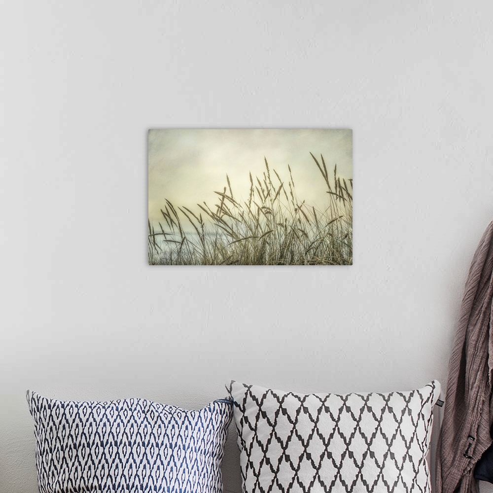 A bohemian room featuring A dreamy fine art photograph of coastal grasses in front of a hazy sky, perfect for a calm bedroo...