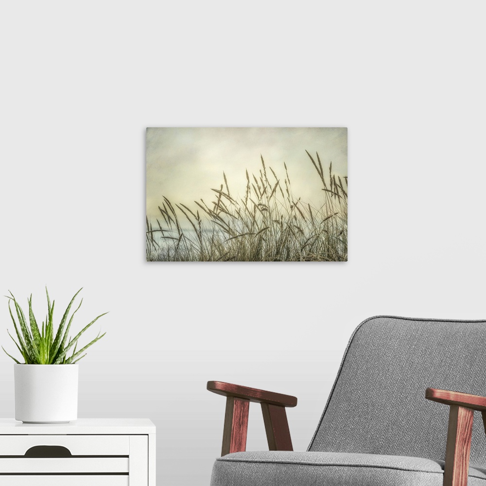 A modern room featuring A dreamy fine art photograph of coastal grasses in front of a hazy sky, perfect for a calm bedroo...