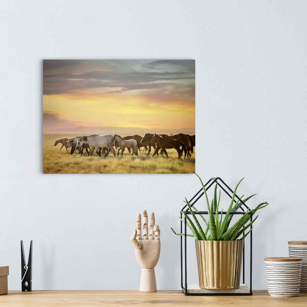 A bohemian room featuring Sunkissed Horses I
