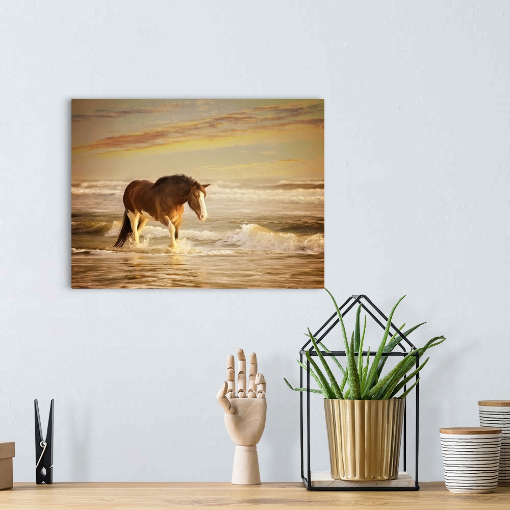 A bohemian room featuring Sunkissed Horses V