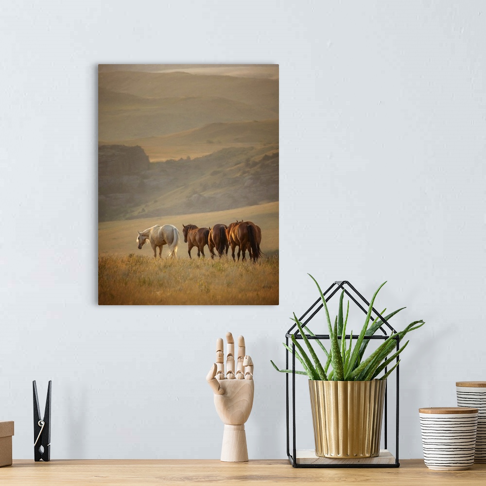 A bohemian room featuring Sunkissed Horses VI