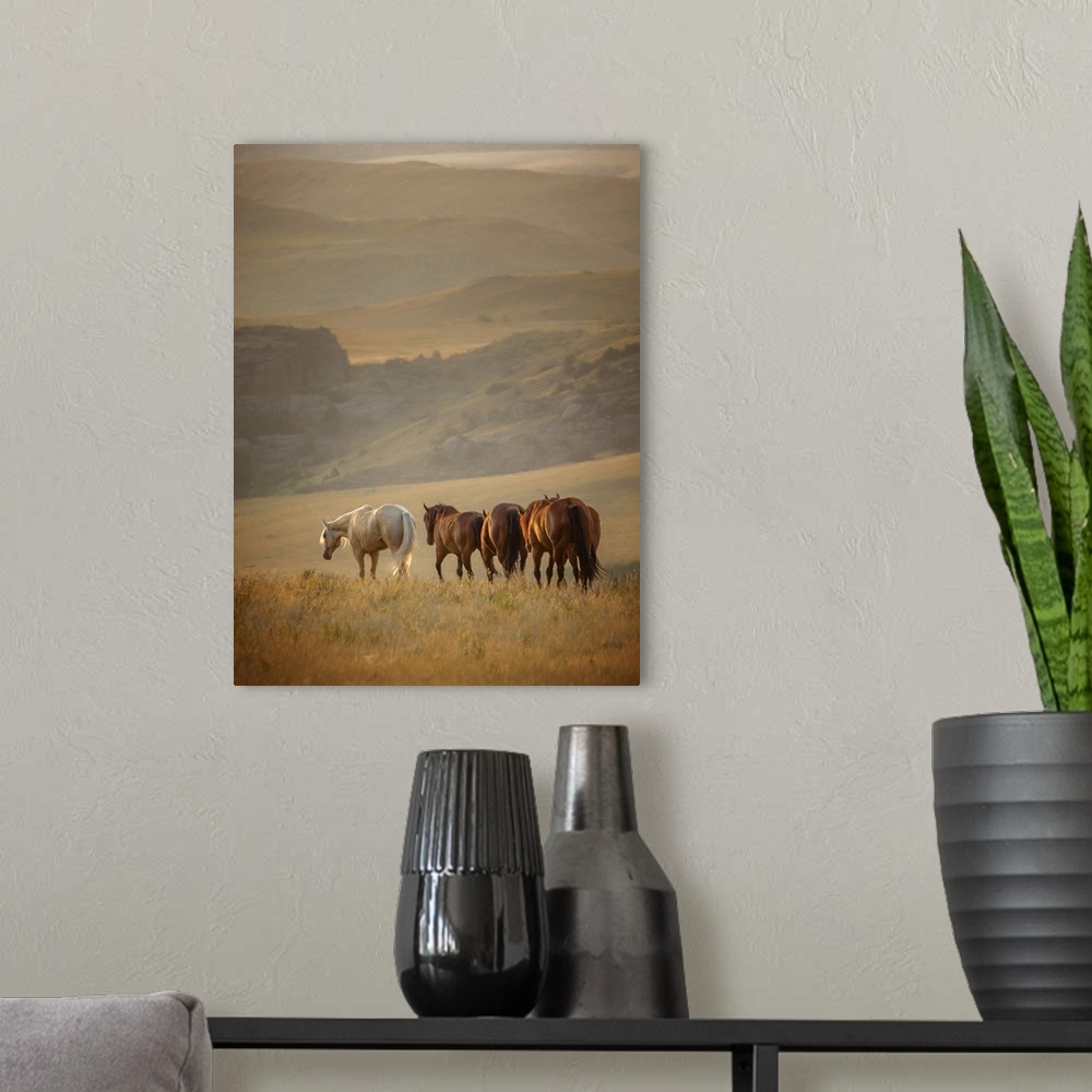 A modern room featuring Sunkissed Horses VI