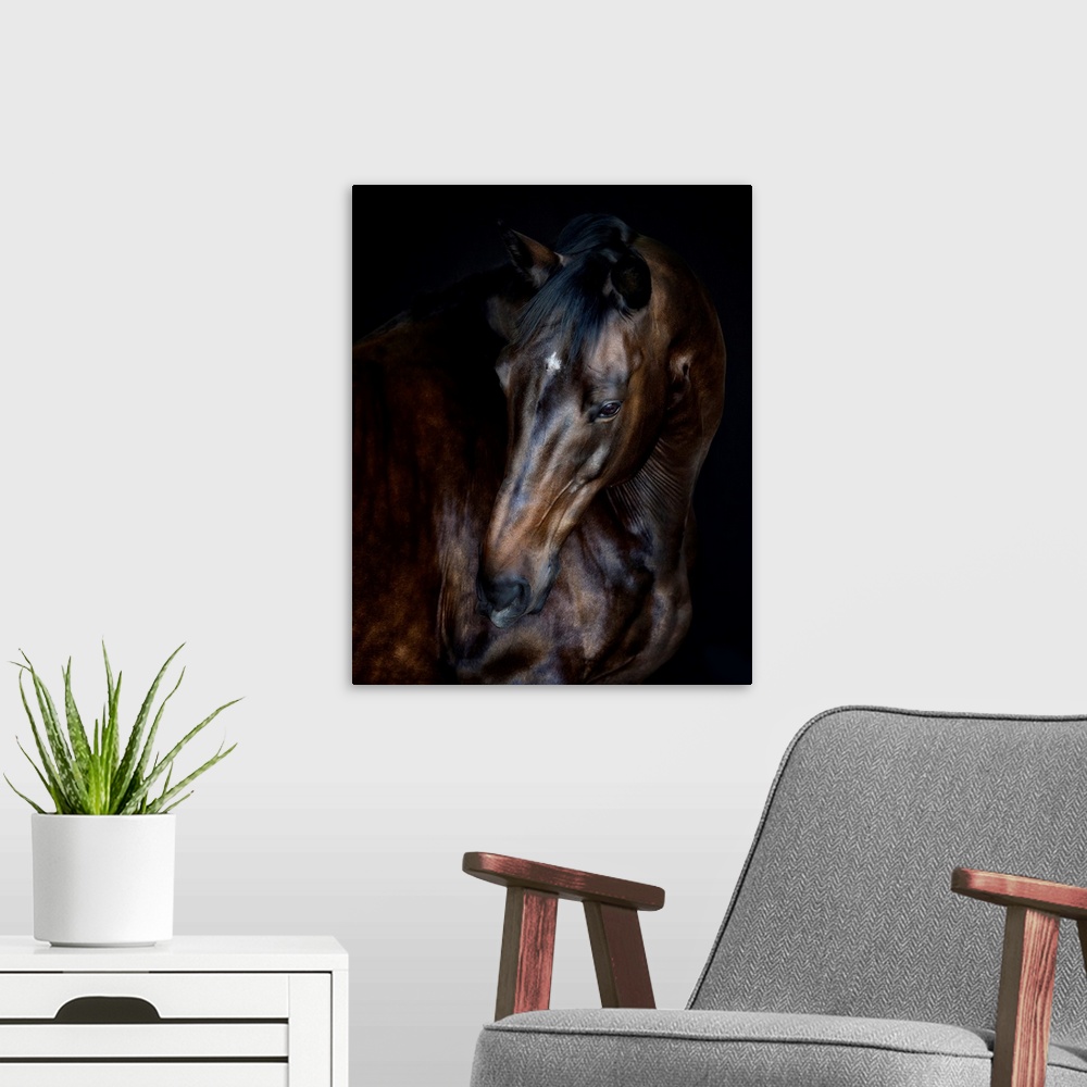 A modern room featuring Sunlit Horses I