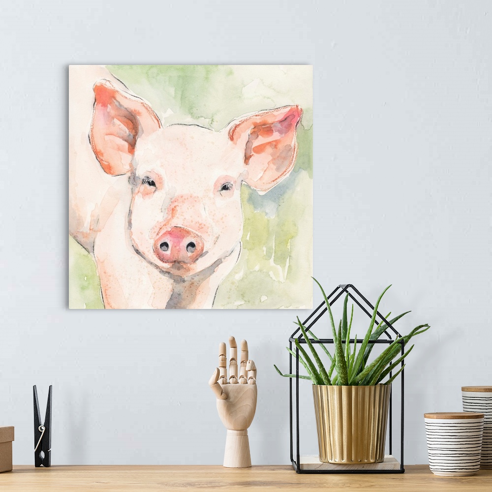 A bohemian room featuring Sunny The Pig I