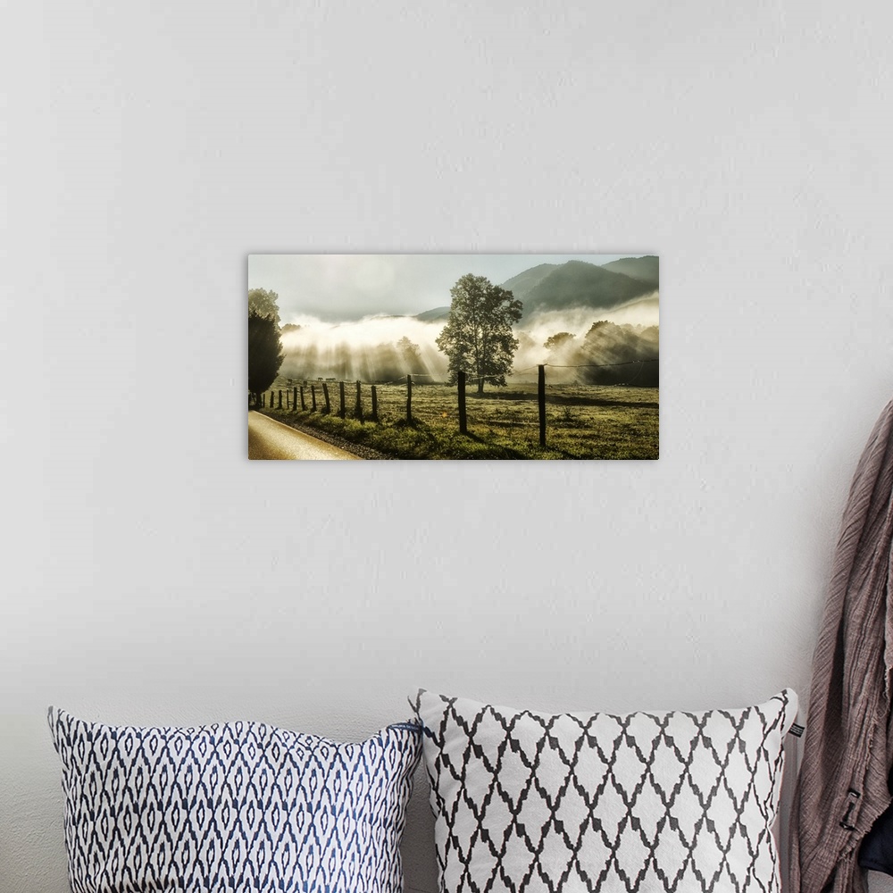 A bohemian room featuring A photograph of a country morning scene.