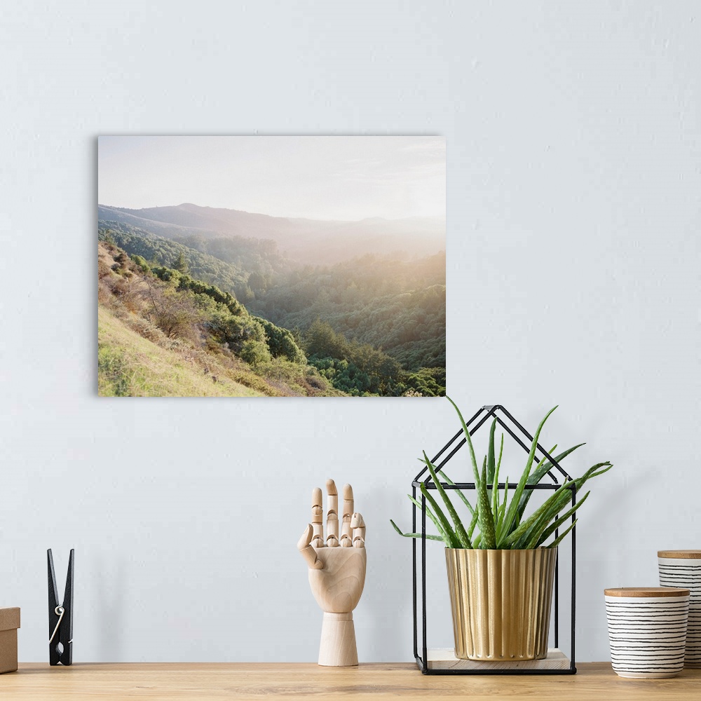 A bohemian room featuring Photograph of late afternoon sun hitting the hills of California.