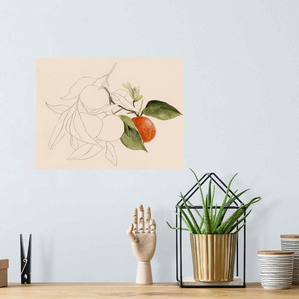 A bohemian room featuring Tangerine Sketch I
