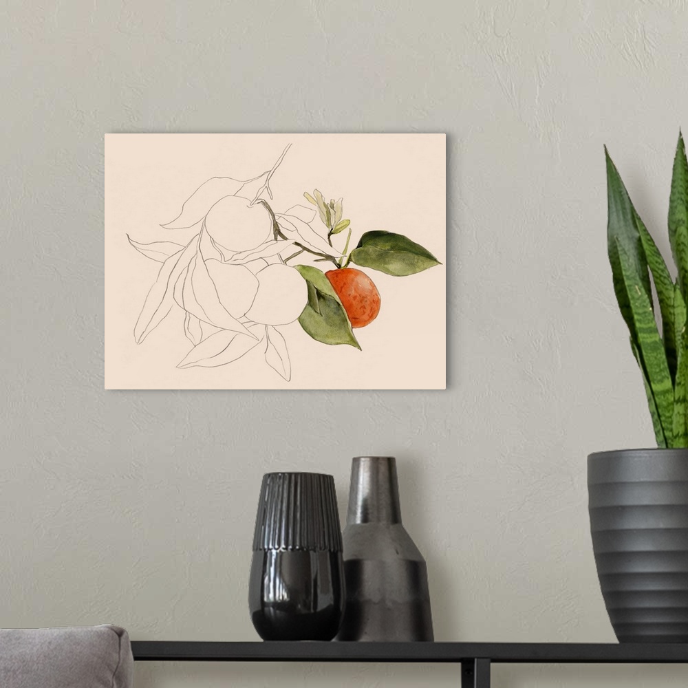 A modern room featuring Tangerine Sketch I