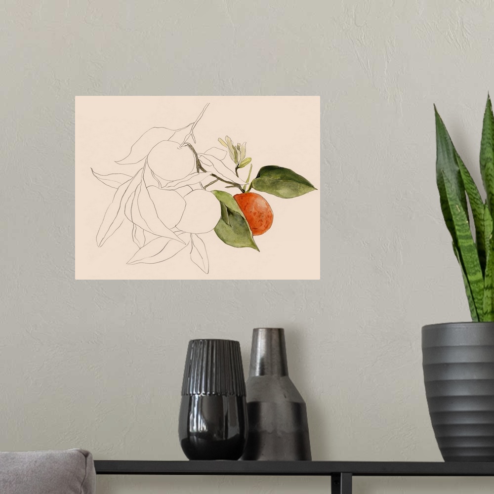 A modern room featuring Tangerine Sketch I