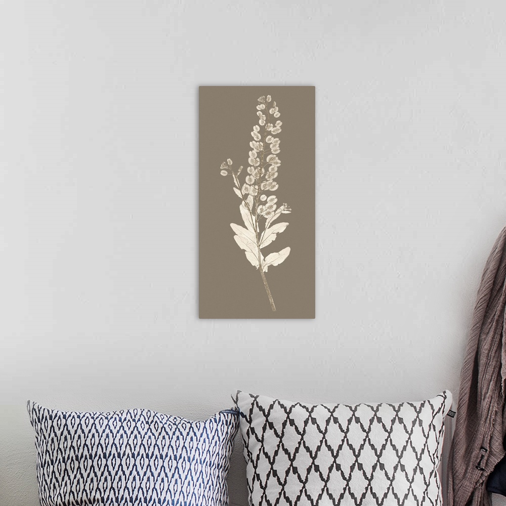 A bohemian room featuring Taupe Nature Study III