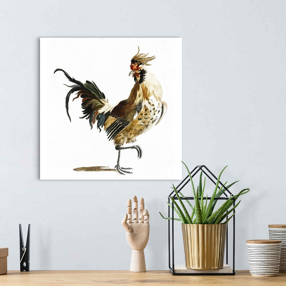 A bohemian room featuring Teyler Roosters I