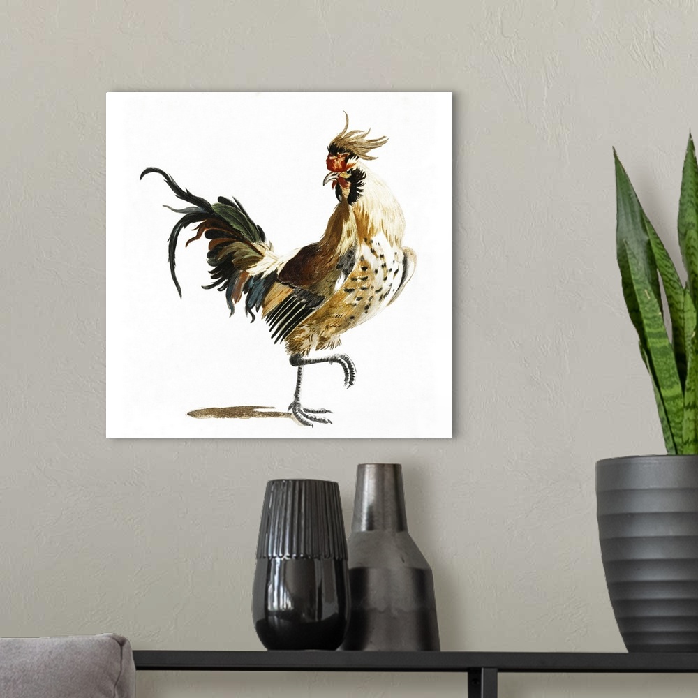 A modern room featuring Teyler Roosters I