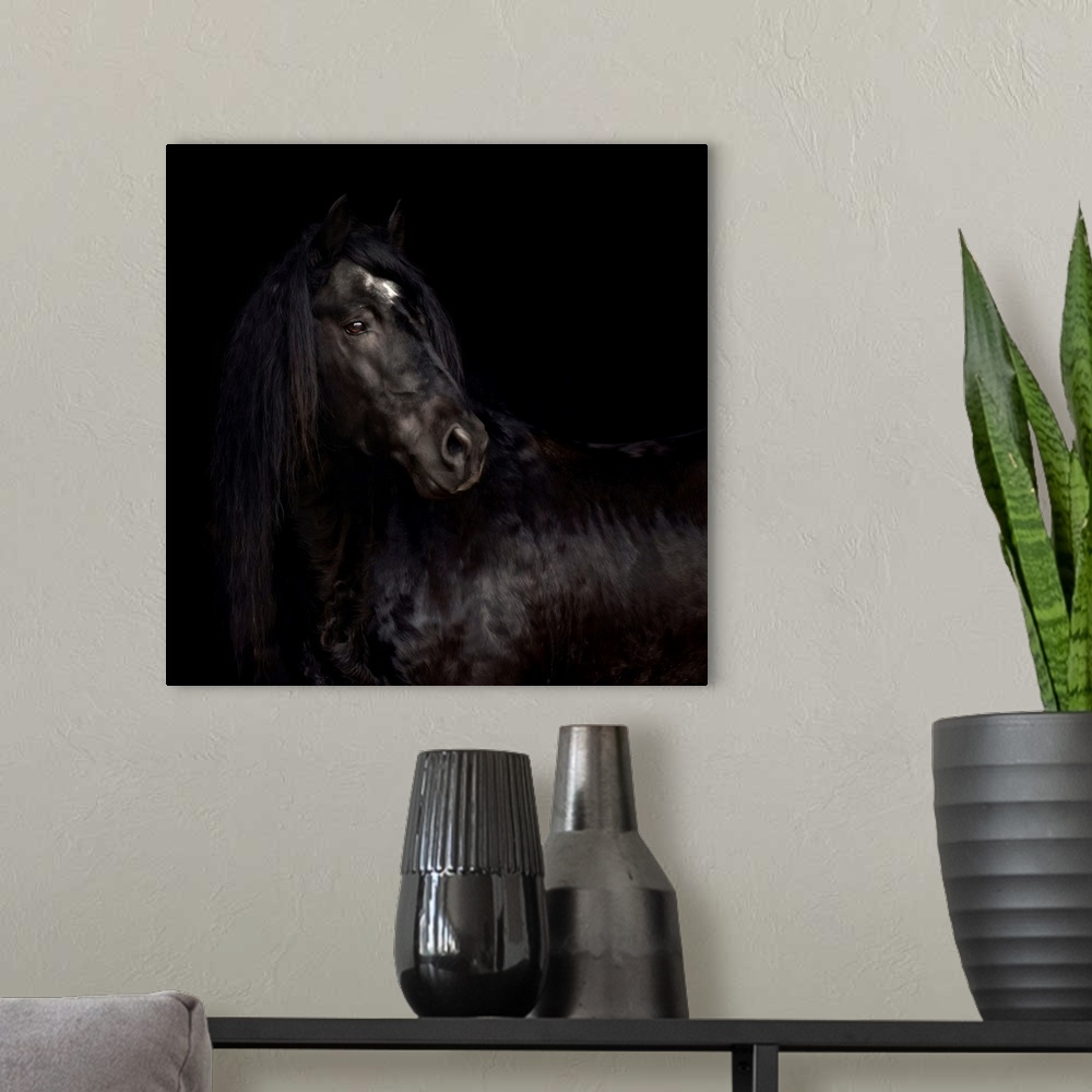 A modern room featuring The Horse King