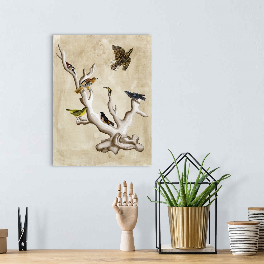 A bohemian room featuring The Ornithologist's Dream III
