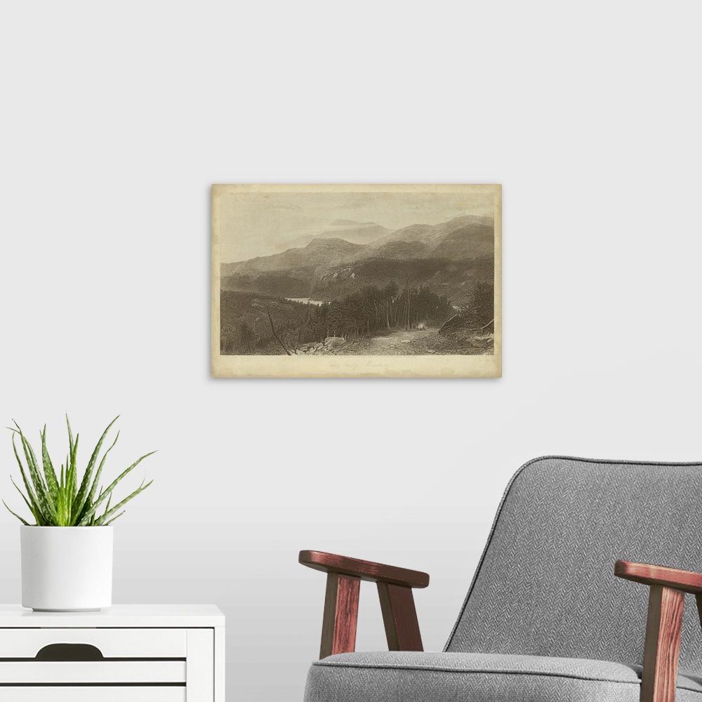 A modern room featuring Vintage artwork of the edge of a mountain range in sepia.