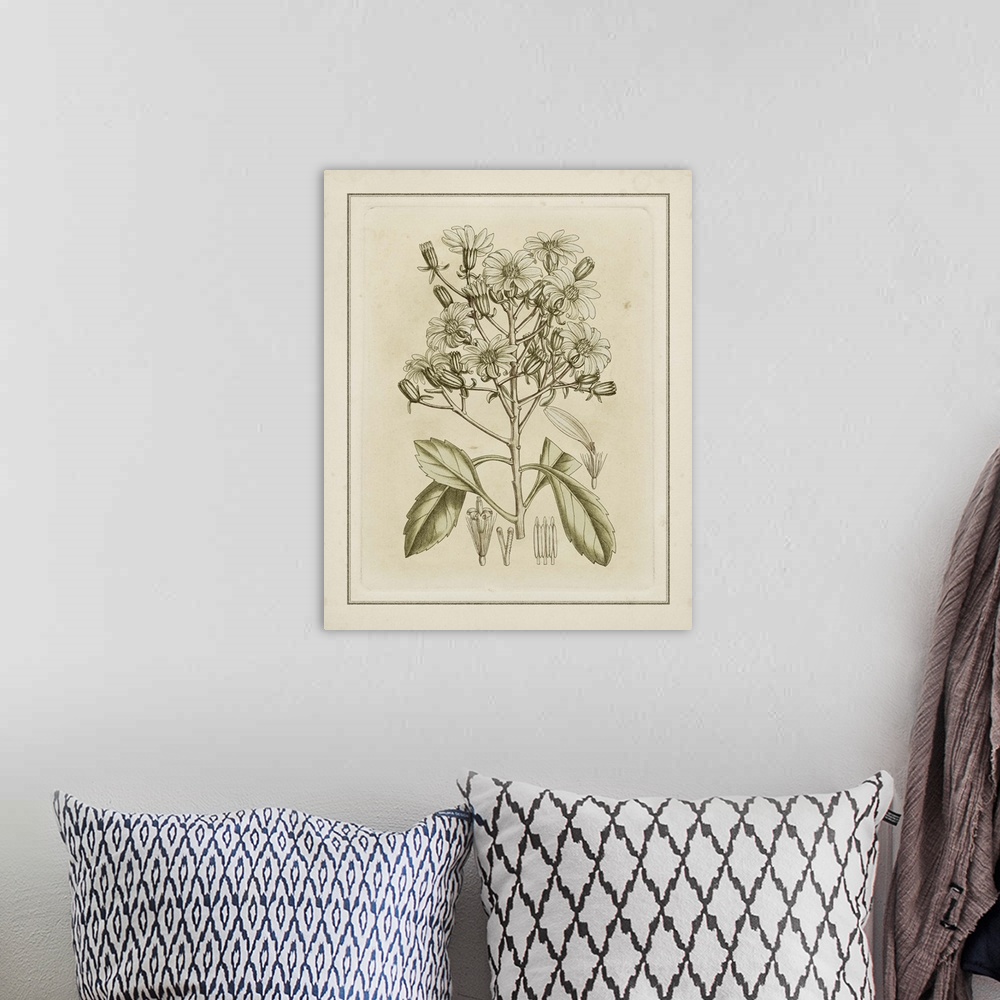 A bohemian room featuring Contemporary artwork of a vintage stylized illustration of flowers.