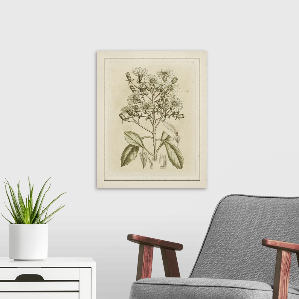 A modern room featuring Contemporary artwork of a vintage stylized illustration of flowers.
