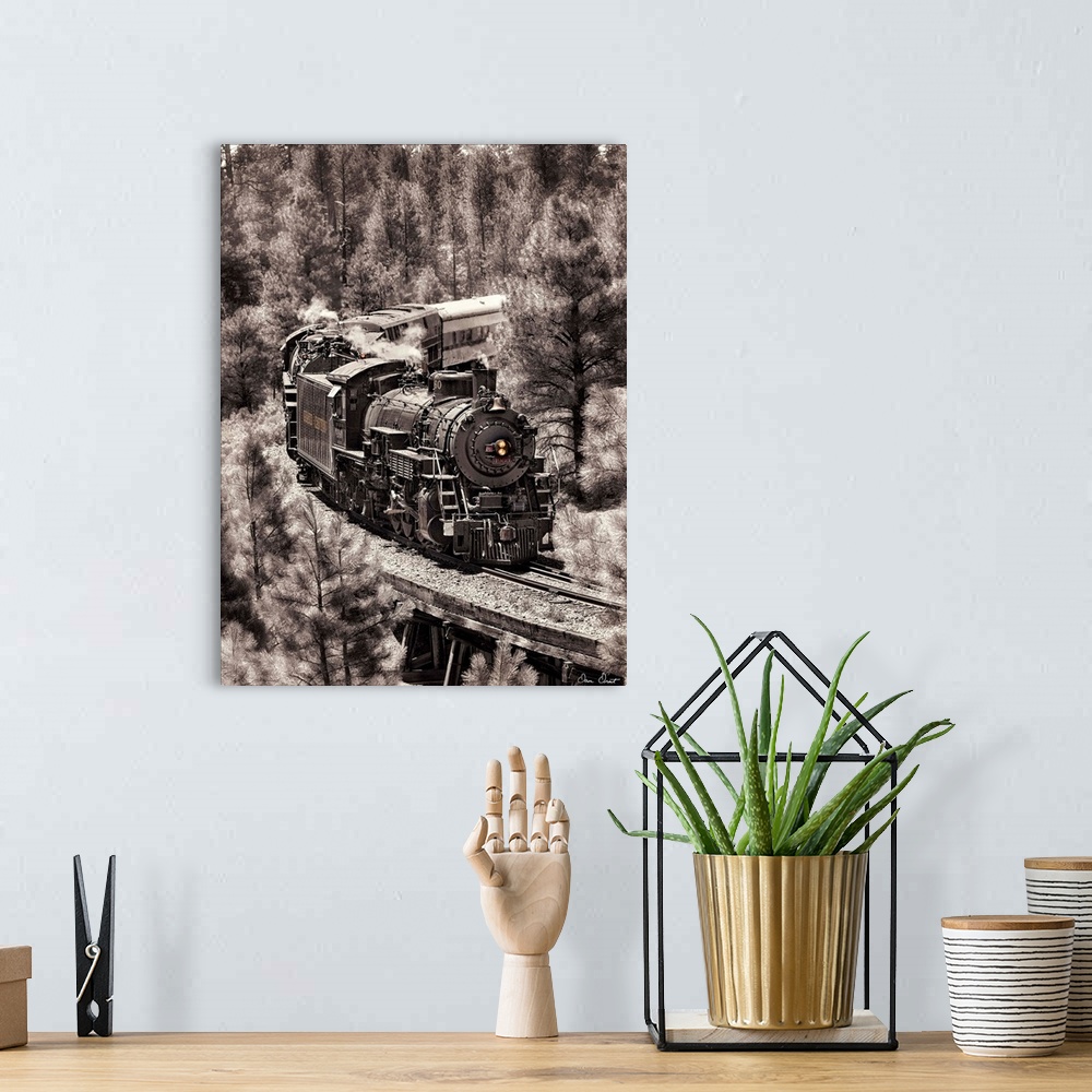 A bohemian room featuring Photograph of a locomotive train riding through a forest altered to a vintage effect.