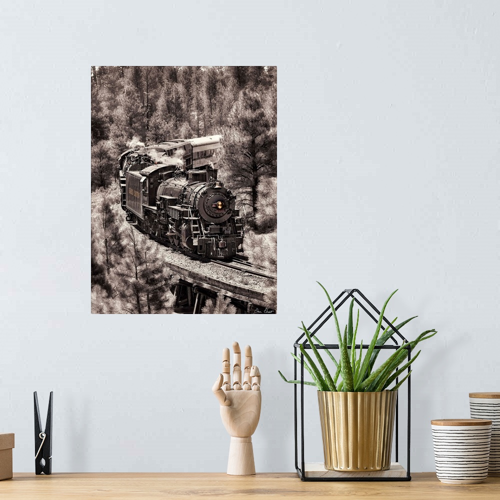 A bohemian room featuring Photograph of a locomotive train riding through a forest altered to a vintage effect.