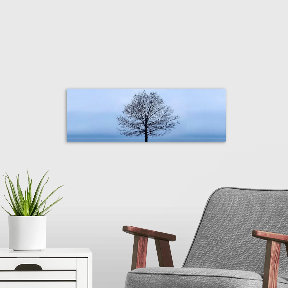 A modern room featuring Tree Panorama VI