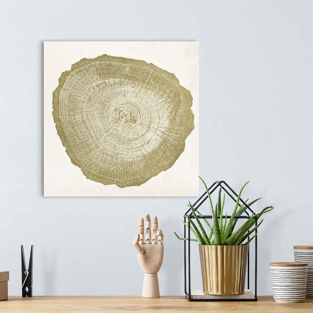 A bohemian room featuring Tree Ring IV