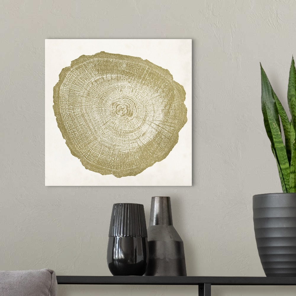 A modern room featuring Tree Ring IV