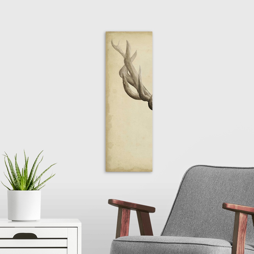 A modern room featuring Part of a triptych of a mounted elk and its antlers.