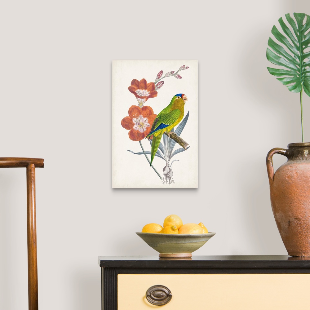 A traditional room featuring Tropical Bird & Flower III