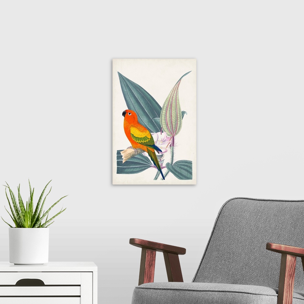A modern room featuring Tropical Bird & Flower IV