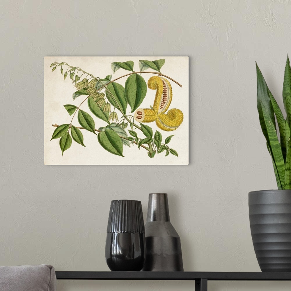 A modern room featuring Tropical Foliage & Fruit I